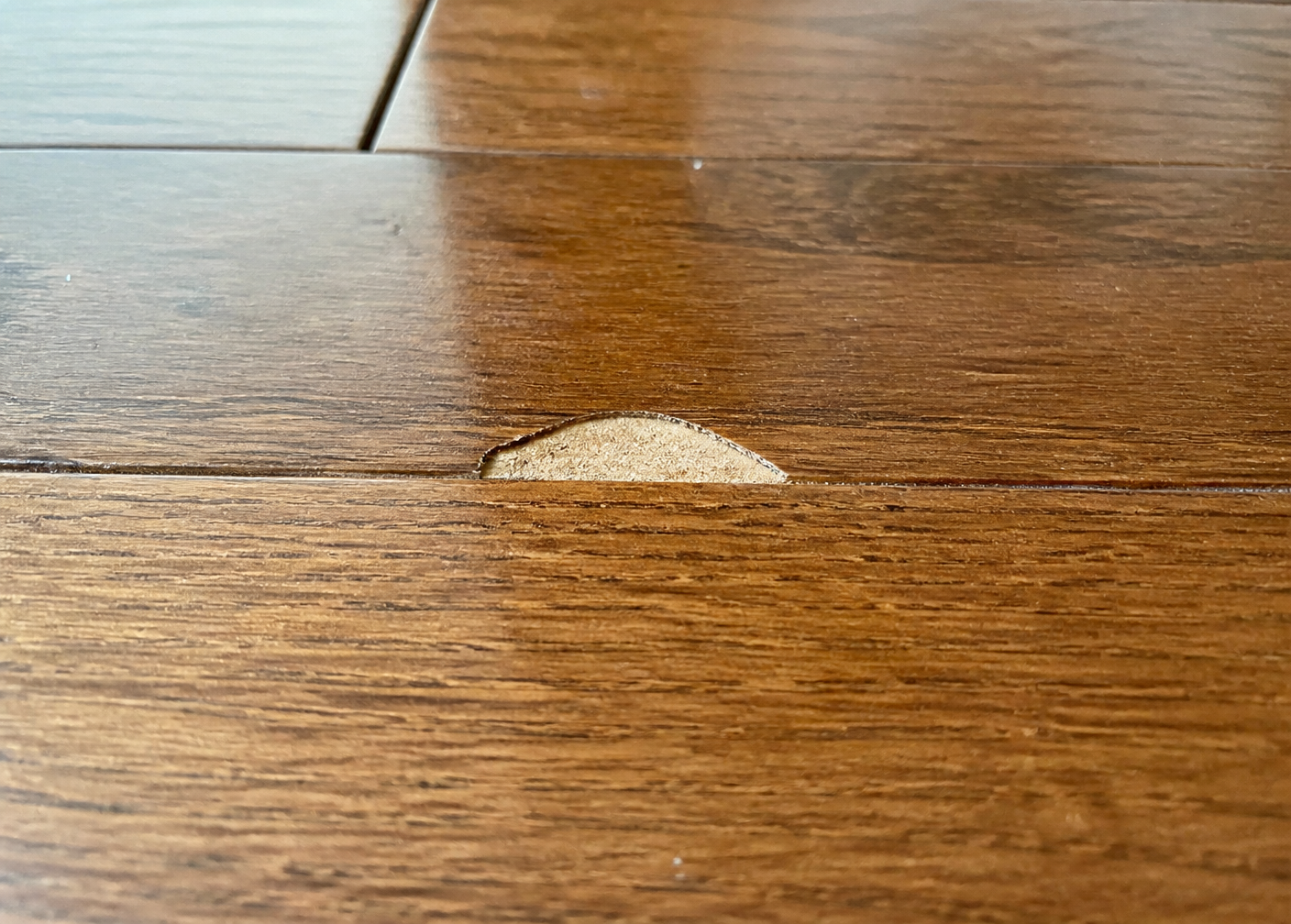 Floor repair specialists in South Florida