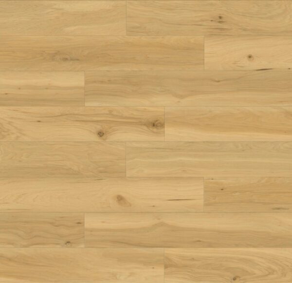 Drawbridge Wood