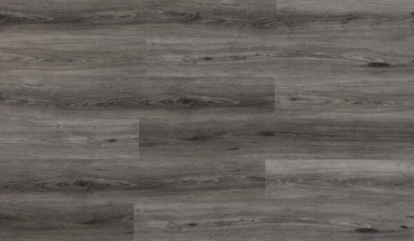 Shark Grey
