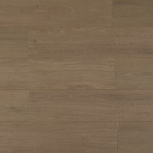 Dark Oak Dream