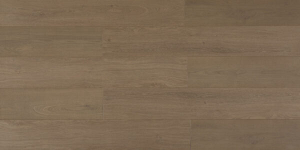 Dark Oak Dream